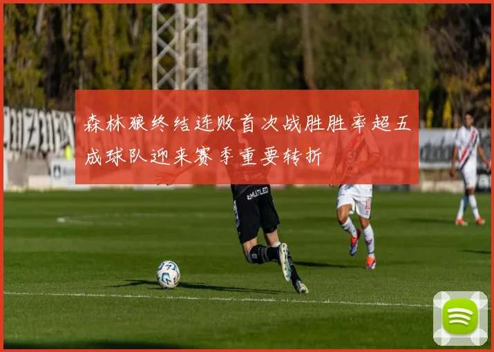 森林狼终结连败首次战胜胜率超五成球队迎来赛季重要转折