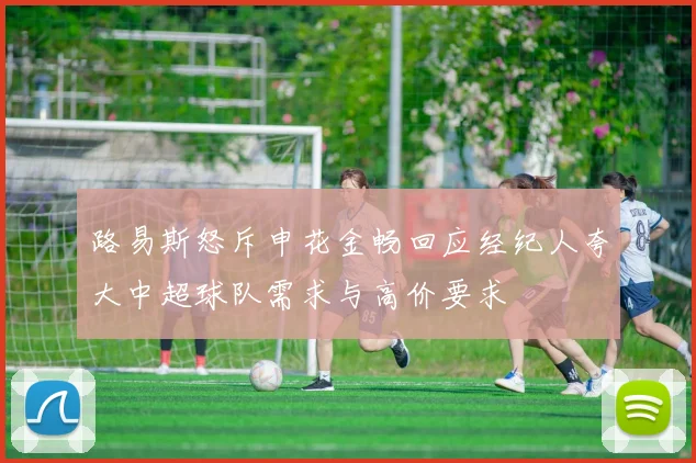 路易斯怒斥申花金畅回应经纪人夸大中超球队需求与高价要求
