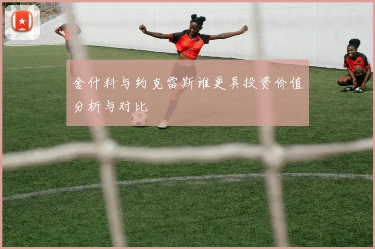 舍什科与约克雷斯谁更具投资价值分析与对比